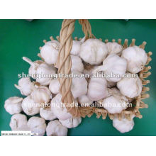 2012 new crop fresh normal white garlic with best quality